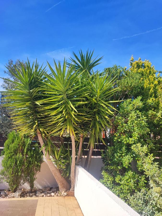 Villa Maya Ližnjan Exteriör bild